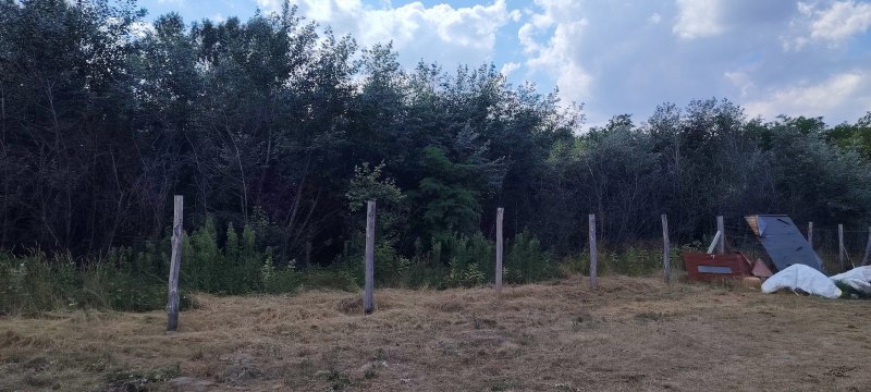 Eladó telek – Lajosmizse