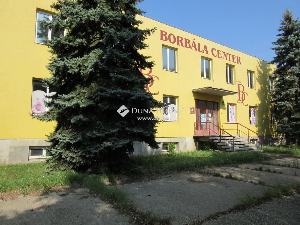 12 bed · 1000m² · 115.000.000 ft