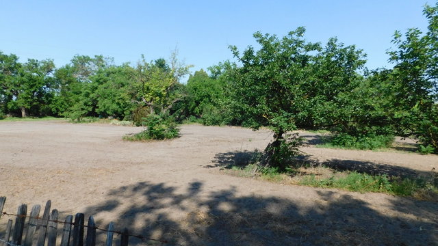 Eladó családi ház, Szatymazon 44 M Ft, 3 szobás