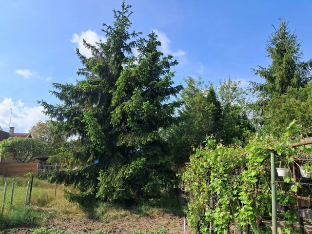Eladó telek, Debrecenben 14.9 M Ft / költözzbe.hu
