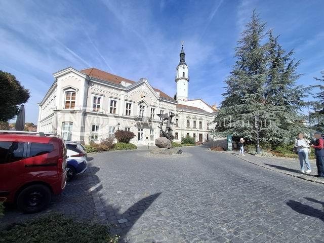 Eladó üzlethelyiség, Veszprémben 65 M Ft, 1 szobás