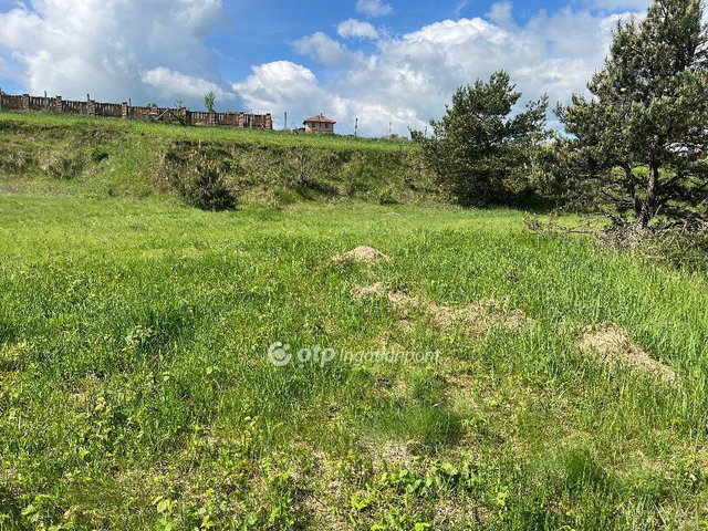 Eladó telek, Berkenyén 23.5 M Ft / költözzbe.hu