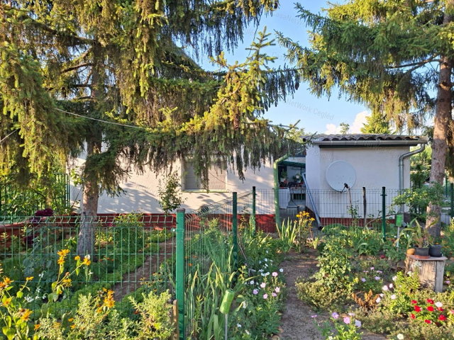 Eladó családi ház, Csemőn 28 M Ft, 2 szobás