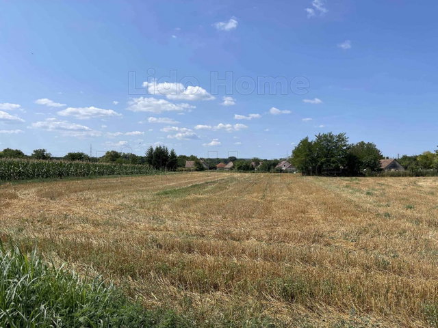 Eladó mezogazdasagi ingatlan, Balatonszabadiban 9.999 M Ft