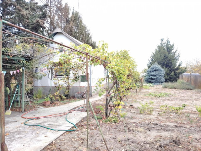 Eladó családi ház, Szatymazon 39.9 M Ft, 1 szobás