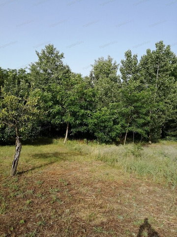 Eladó mezogazdasagi ingatlan, Kecskeméten 4.6 M Ft