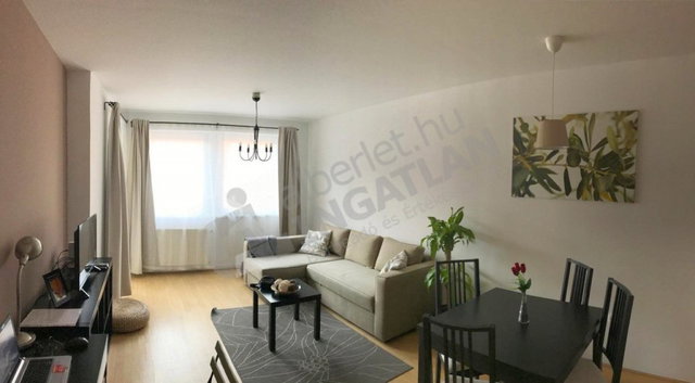 Kiadó téglalakás, albérlet, VII. kerületben, Holló utcában