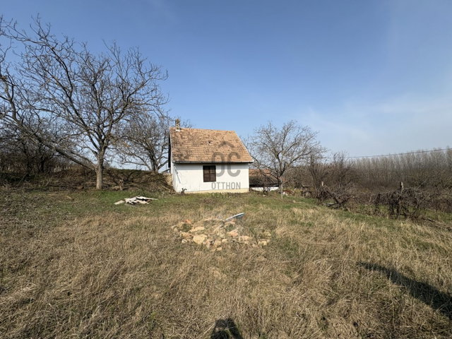Eladó mezogazdasagi ingatlan, Ádándon 9.9 M Ft