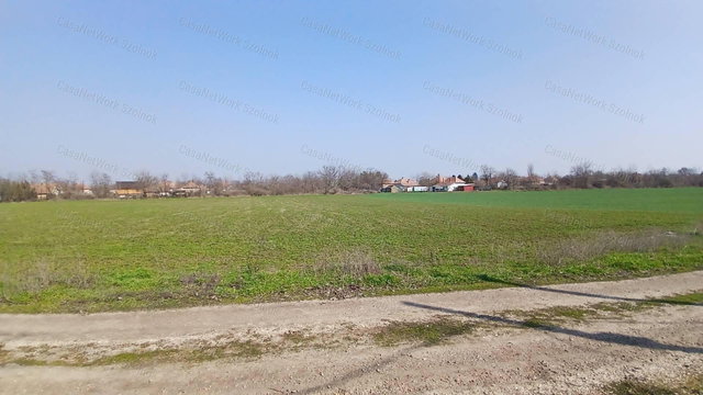 Eladó telek, Tiszaföldváron 1.8 M Ft / költözzbe.hu