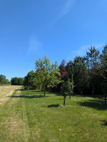 Eladó telek, Gyomaendrődön 6.1 M Ft / költözzbe.hu