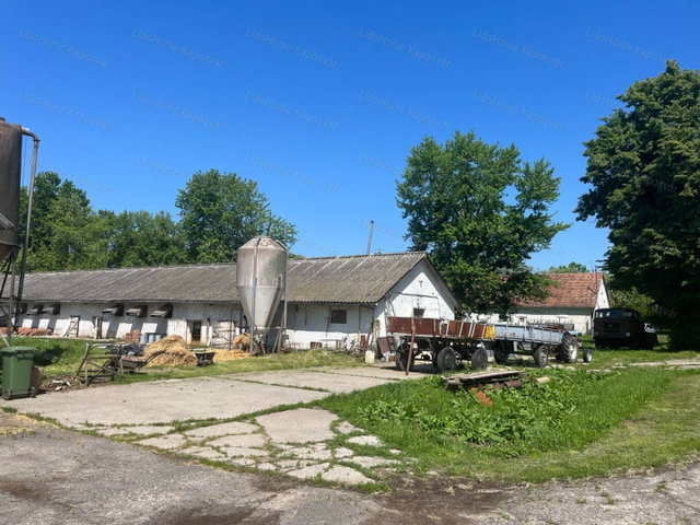 Eladó mezogazdasagi ingatlan, Ladon 199 M Ft / költözzbe.hu