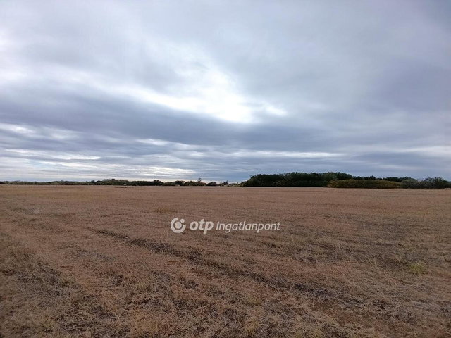 Eladó mezogazdasagi ingatlan, Bácsalmáson 180 M Ft
