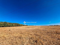 Eladó ipari ingatlan, Gyömrőn 119.184 M Ft / költözzbe.hu