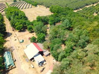 Eladó mezogazdasagi ingatlan, Tenken 32.9 M Ft