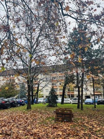 Eladó panellakás, Budapesten, XIV. kerületben 74.8 M Ft, 2 szobás
