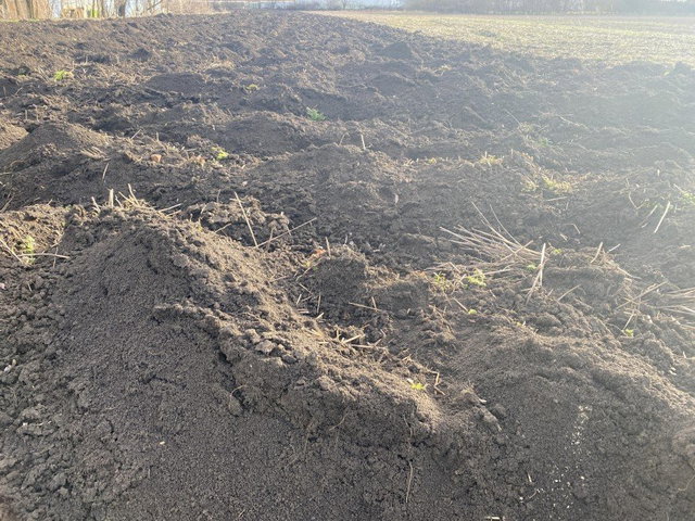 Eladó mezogazdasagi ingatlan, Hódmezővásárhelyen 1.35 M Ft