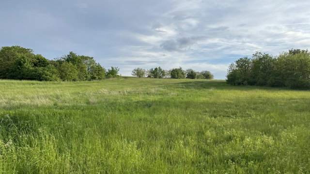 Eladó mezogazdasagi ingatlan, Győrött 11.9 M Ft
