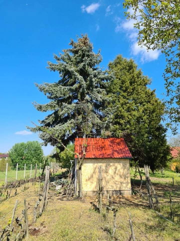 Eladó telek, Pakson 18.9 M Ft / költözzbe.hu