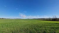 Eladó mezogazdasagi ingatlan, Sülysápon 40.5 M Ft