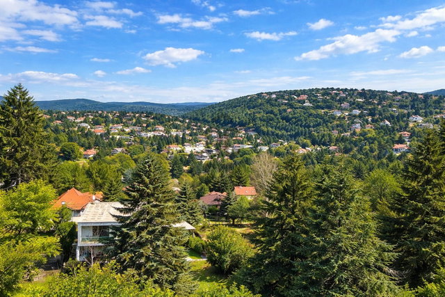 Eladó családi ház, Budapesten, II. kerületben 519 M Ft, 7 szobás
