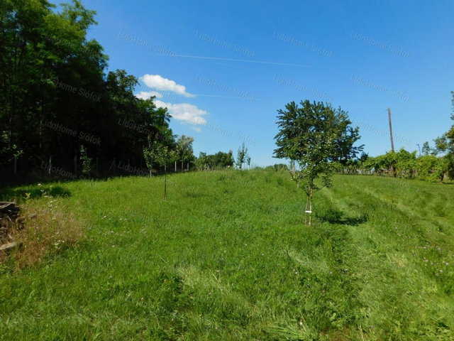 Eladó mezogazdasagi ingatlan, Balatonszárszón 14.9 M Ft