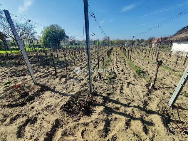 Eladó mezogazdasagi ingatlan, Monoron 25.9 M Ft