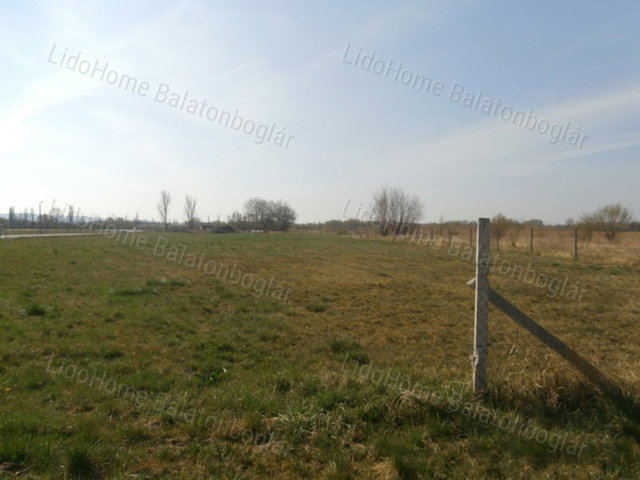 Eladó mezogazdasagi ingatlan, Balatonbogláron 21.5 M Ft