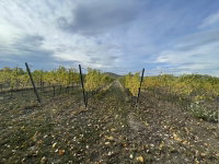 Eladó mezogazdasagi ingatlan, Balatonfüreden 15 M Ft