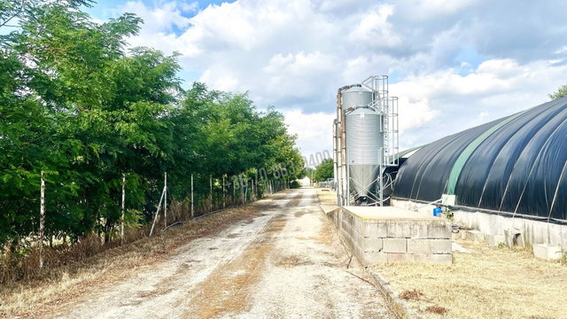 Eladó mezogazdasagi ingatlan, Dabason 150 M Ft