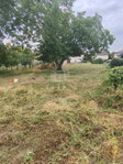 Eladó telek, Zsámbokon 11 M Ft / költözzbe.hu