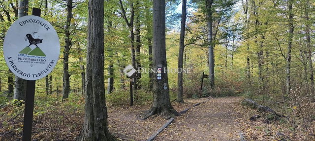 Eladó telek, Pilisszentkereszten 79 M Ft / költözzbe.hu