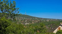 Eladó telek, Pécsett, Bogár dűlőn 8.5 M Ft