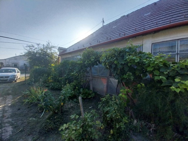 Eladó családi ház, Szákszenden 25 M Ft / költözzbe.hu