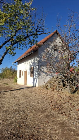 Eladó családi ház, Pécsváradon 11.99 M Ft, 2 szobás