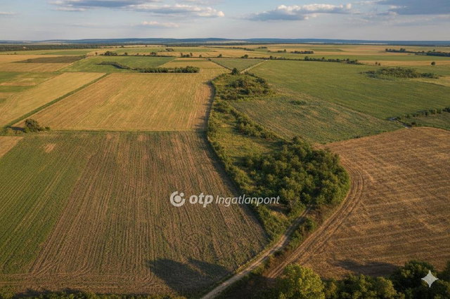 Eladó mezogazdasagi ingatlan, Szabadegyházán 37.9 M Ft