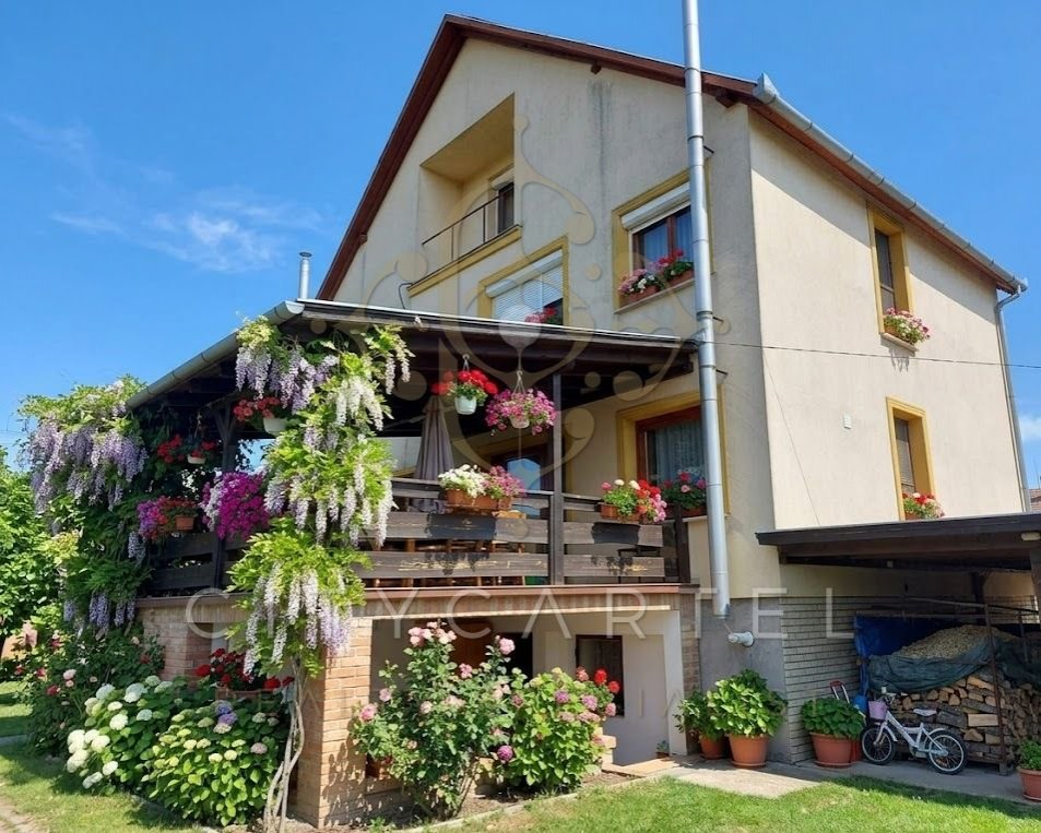 6 bed · 260m² · 148.000.000 ft