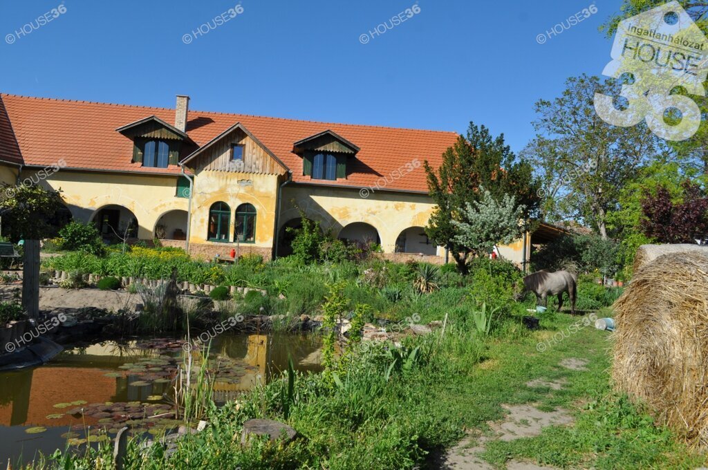 7 hálószoba · 250 m² · 99.900.000 Ft