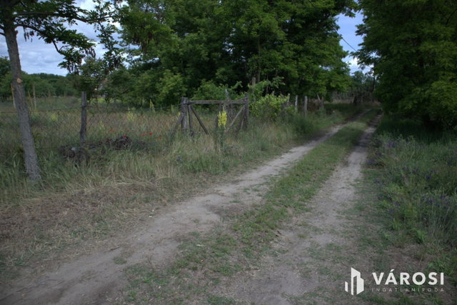 Eladó mezogazdasagi ingatlan, Sándorfalván 3.9 M Ft