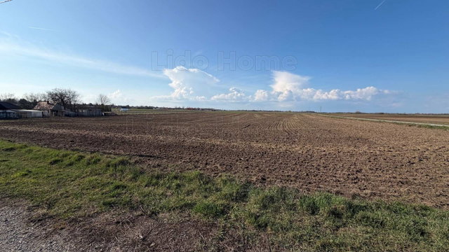 Eladó telek, Balatonszabadiban 16 M Ft / költözzbe.hu