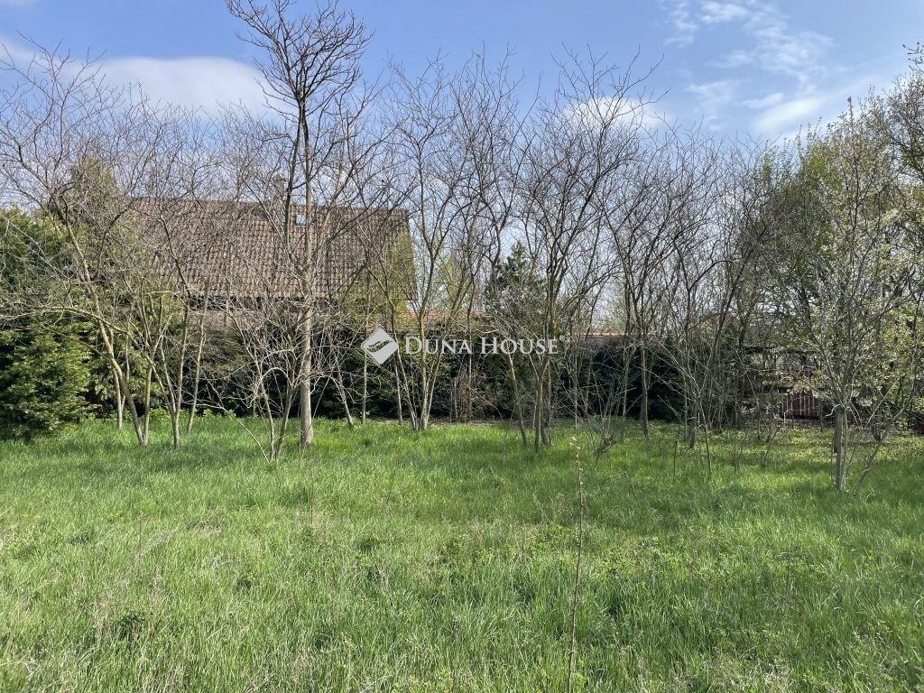 1984m² · 69.500.000 ft