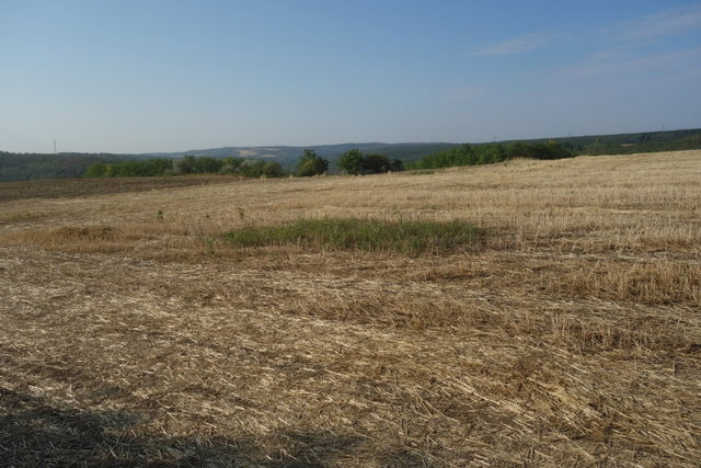 Eladó mezogazdasagi ingatlan, Isaszegen 6.4 M Ft