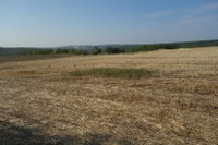 Eladó mezogazdasagi ingatlan, Isaszegen 6.4 M Ft