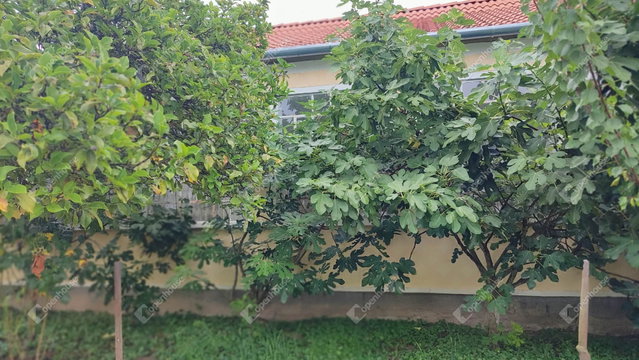 Eladó családi ház, Vízváron 18 M Ft, 2 szobás