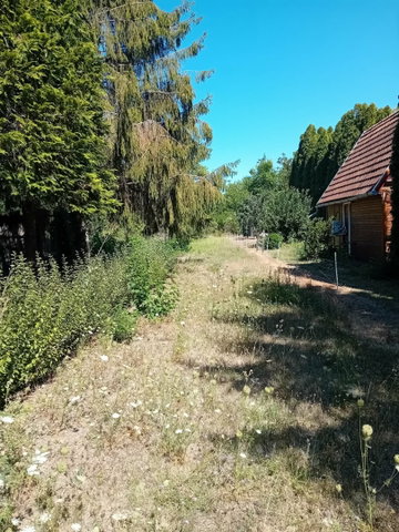 Eladó nyaraló, Gyomaendrődön 9.5 M Ft, 1+1 szobás