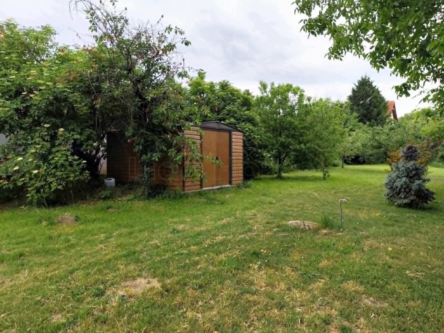 1180 m² · 49.800.000 Ft