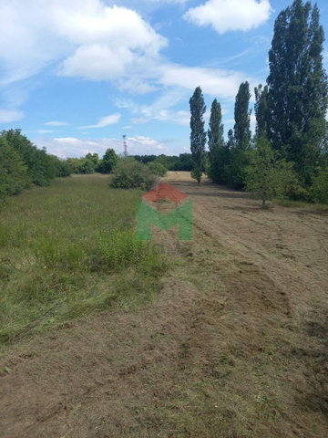 Eladó mezogazdasagi ingatlan, Balatonberényben 3.9 M Ft