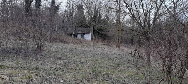 Eladó mezogazdasagi ingatlan, Zalacsányon 3.6 M Ft