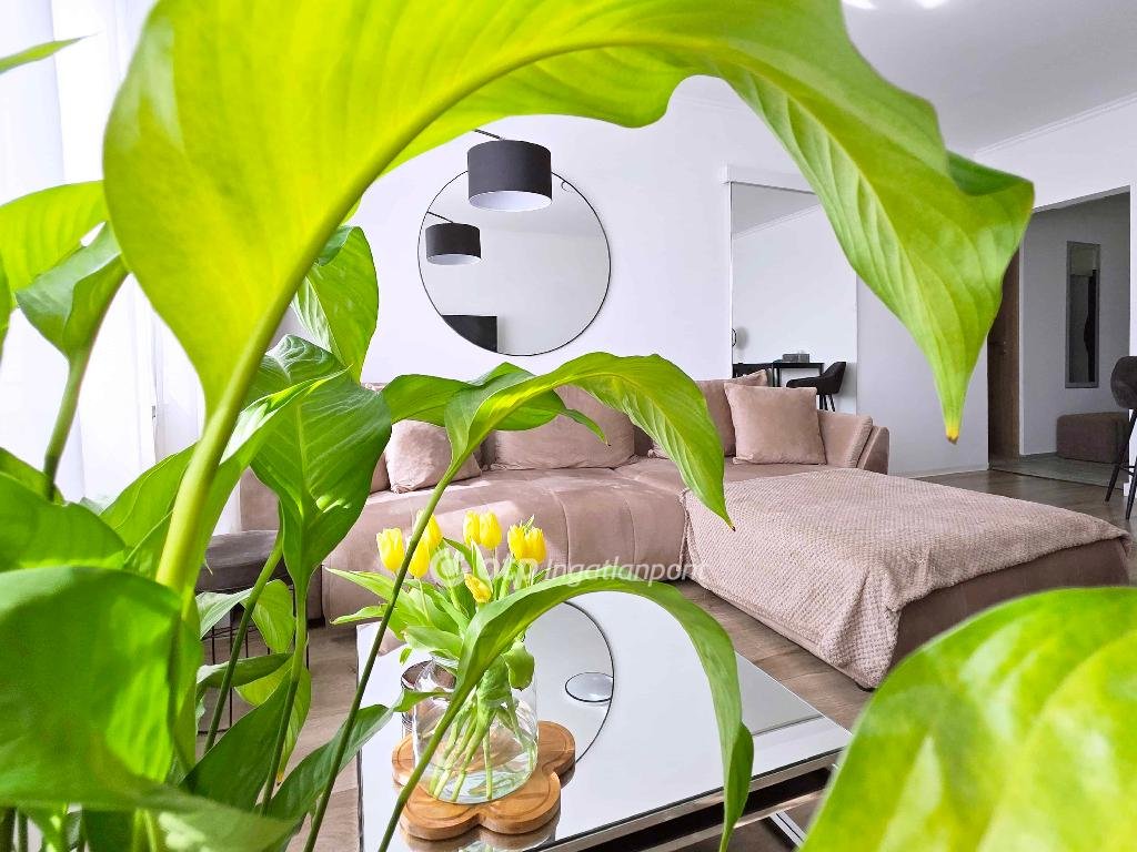 2 bed · 48m² · 79.990.000 ft