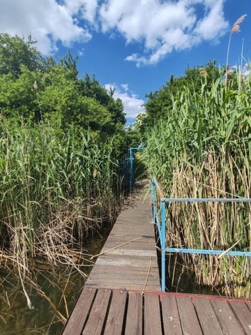 Eladó nyaraló, Szolnokon 35 M Ft, 2 szobás / költözzbe.hu