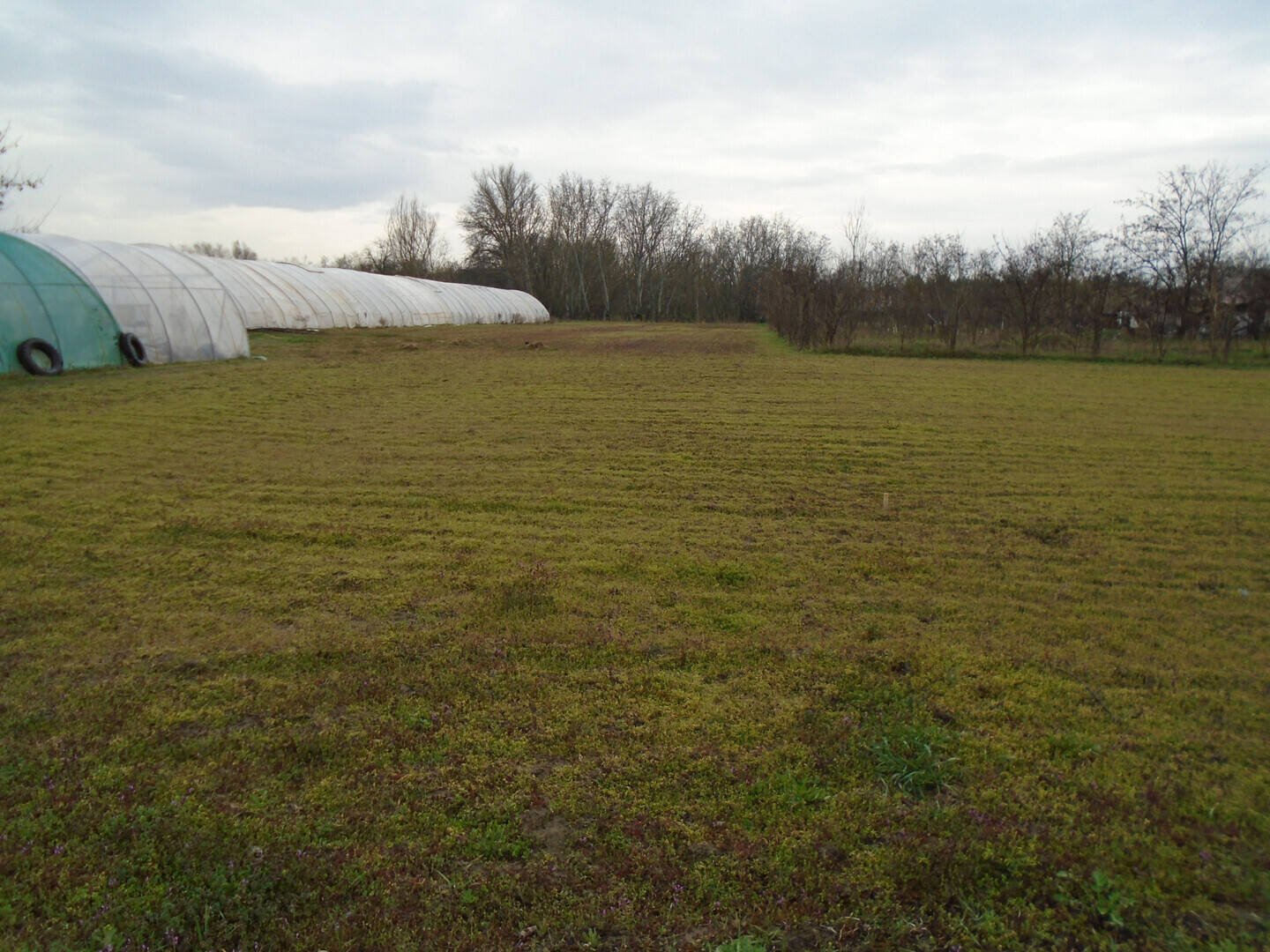 2789m² · 2.000.000 ft